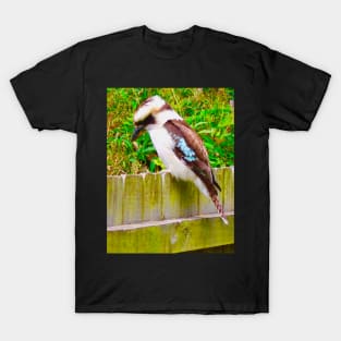 The Kookaburra ! T-Shirt